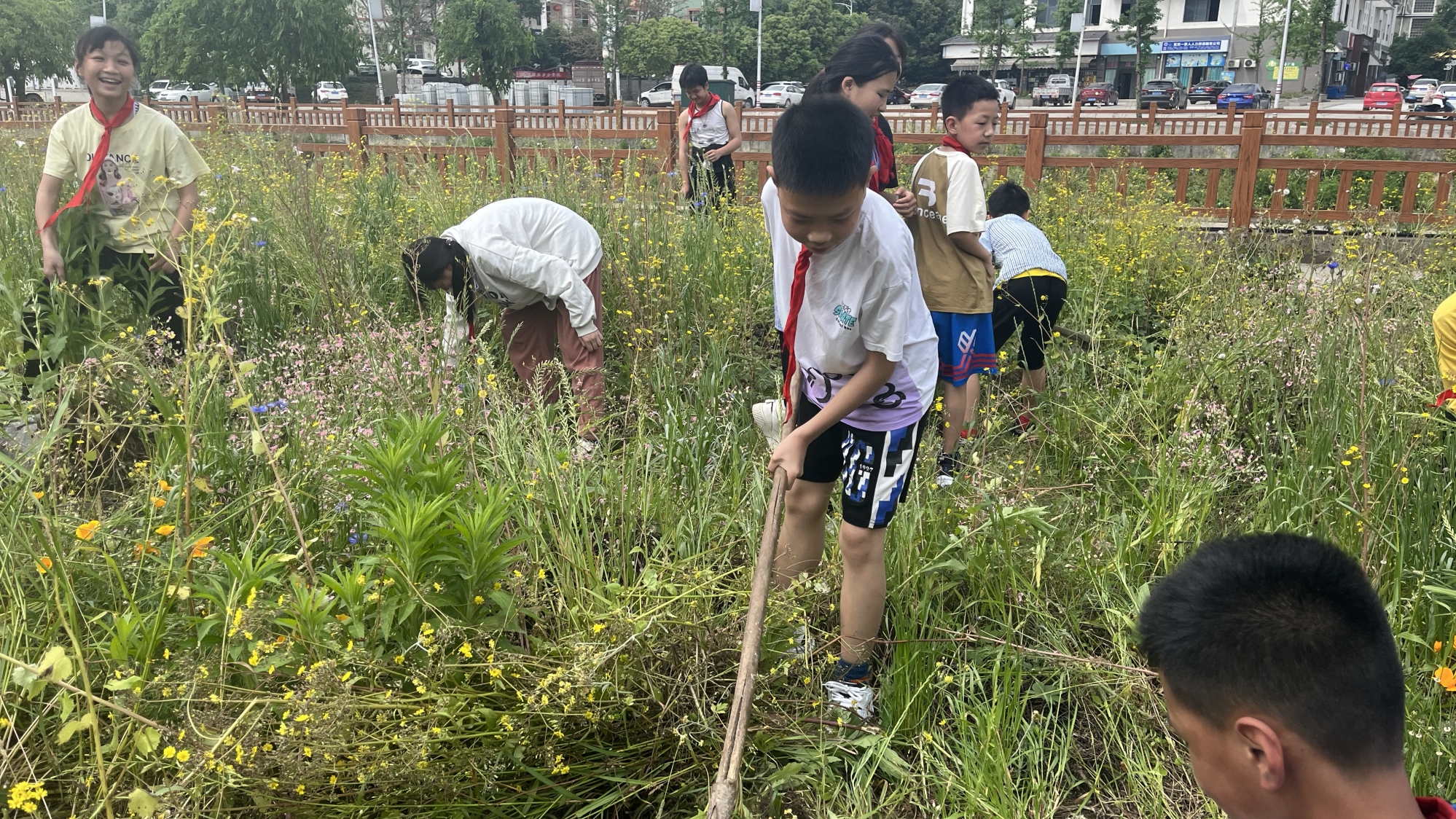 爱我校园 义务拔草——金鹅民族小学组织学生开展劳动教育