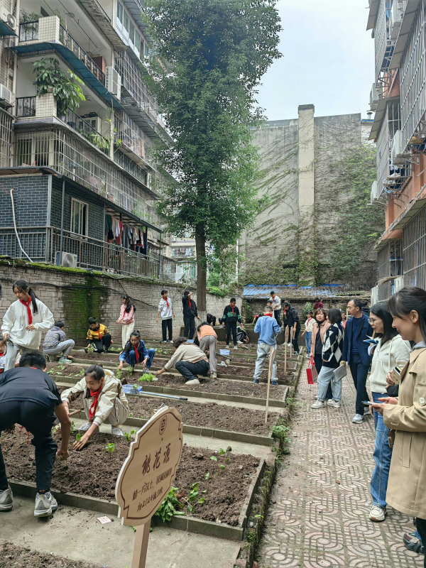 携手共进，同绽芳华——-翠屏区第五届初中劳动骨干教师培训暨中小学劳动教研活动纪实
