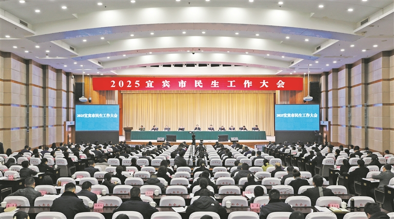 2025宜宾市民生工作大会召开