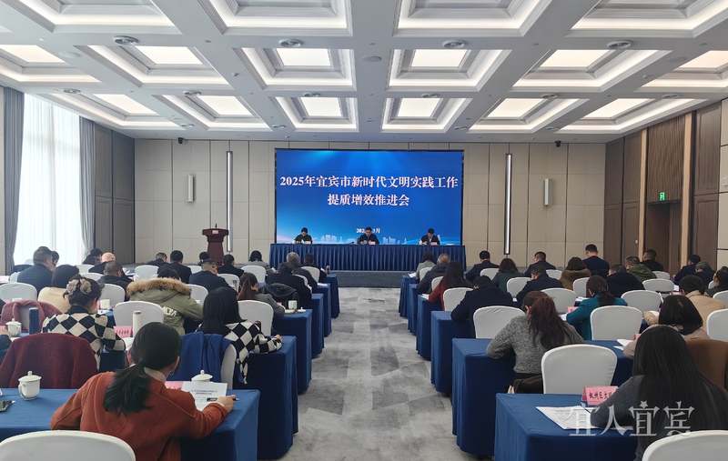 宜宾市新时代文明实践工作 提质增效推进会召开
