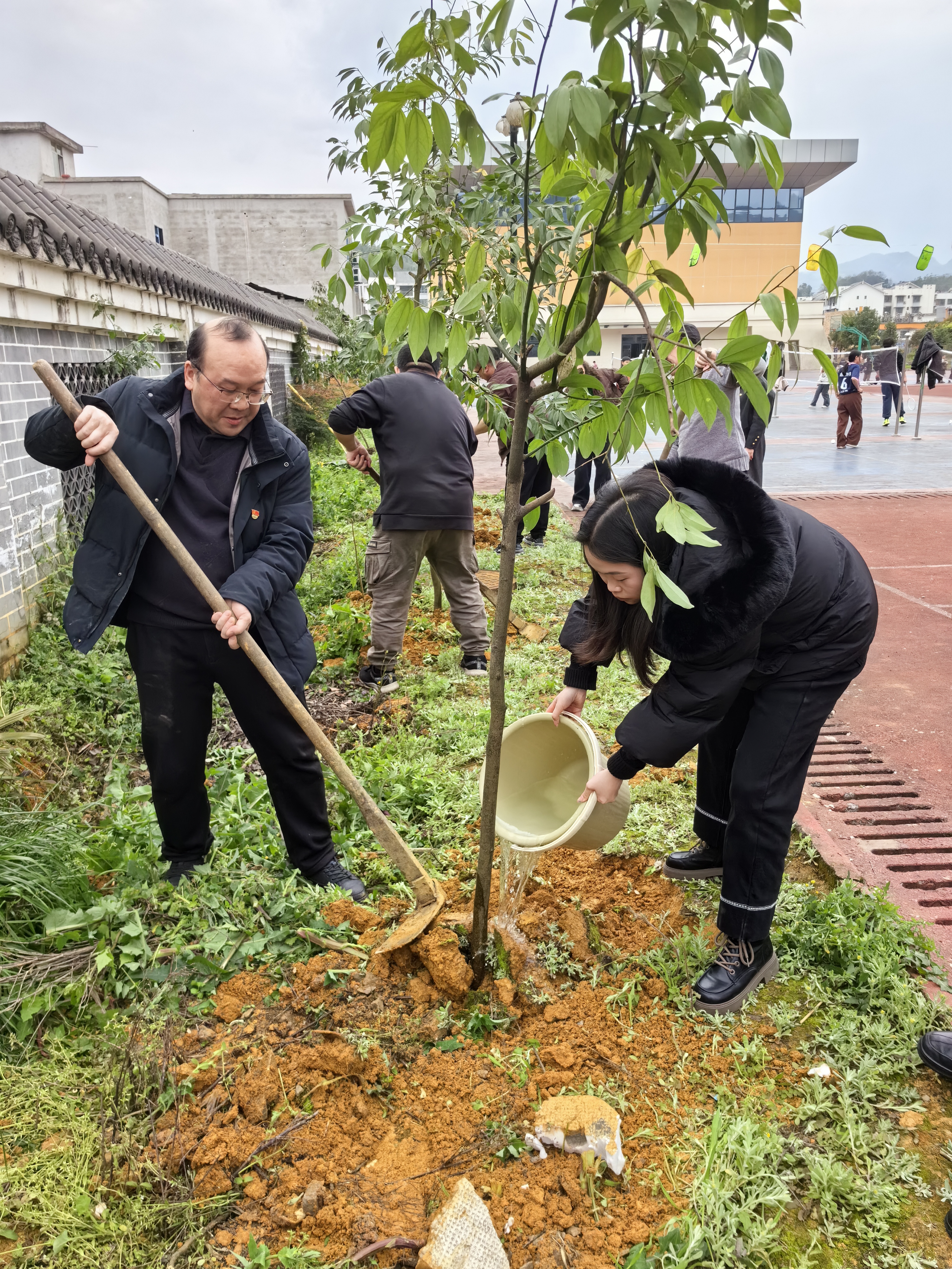 拥抱春天    播种绿色 ——金鹅民族小学开展植树节活动
