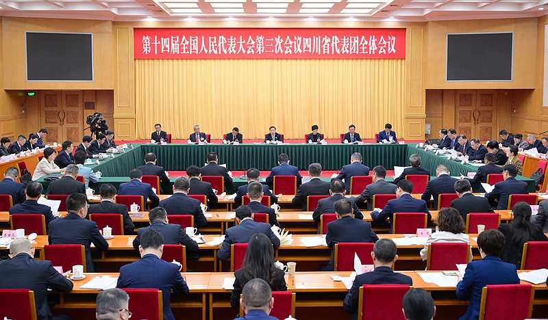 四川代表团举行全体会议  讨论通过代表团全团建议  王晓晖主持 施小琳出席 