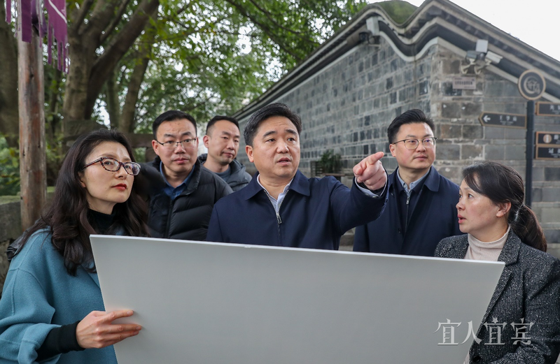 市领导调研翠屏区重点文旅项目和文化遗产保护利用