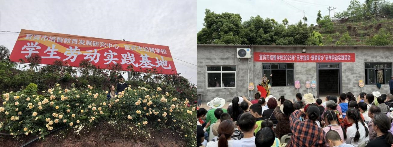 劳育构筑免疫屏障 聚力守护师生健康