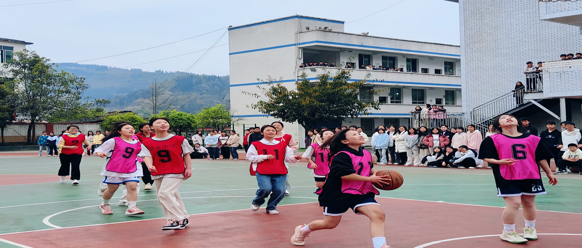 图片 5